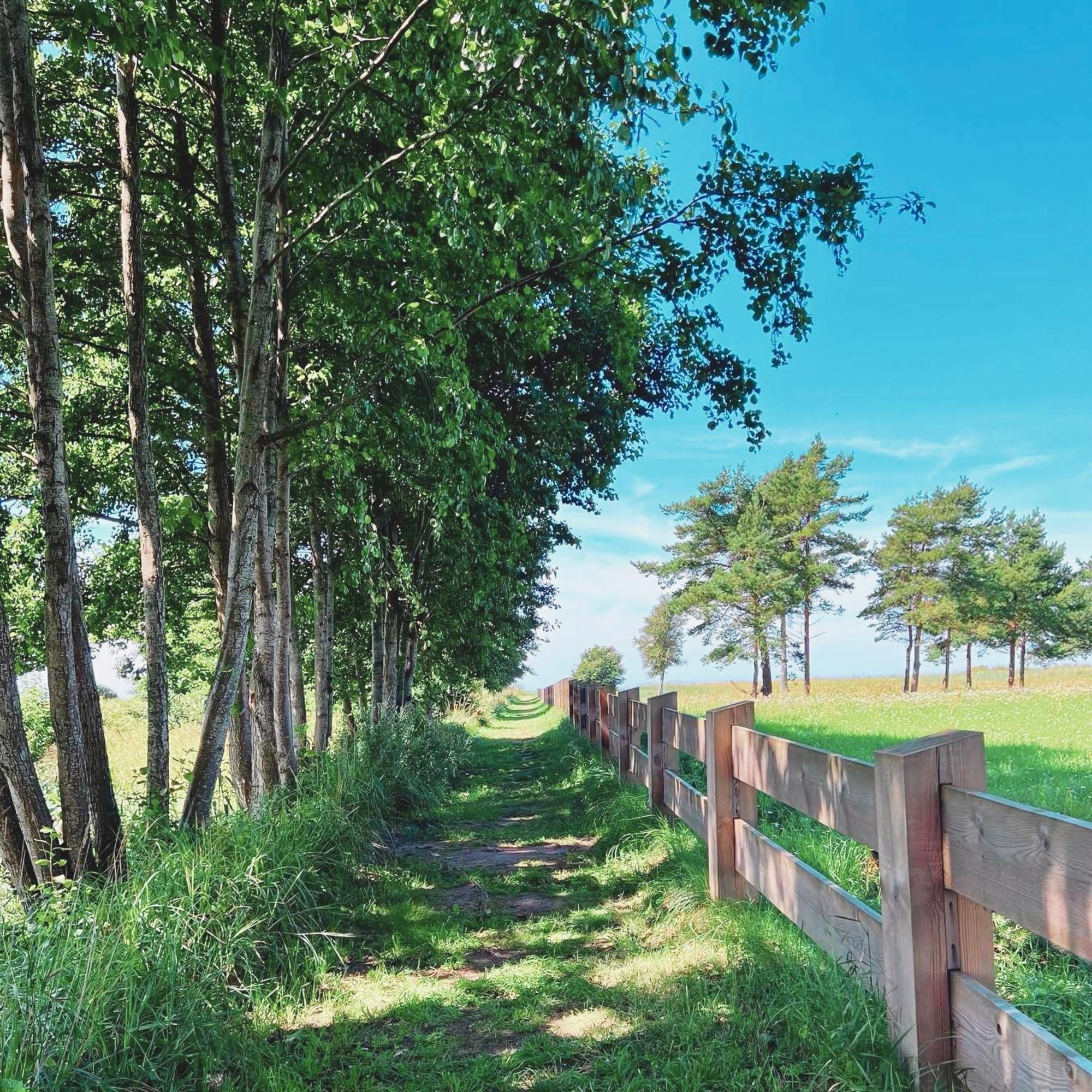 Viesuli Village Villas Saraiķi Zewnętrze zdjęcie